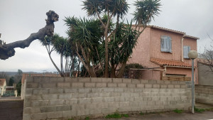 Photo de galerie - élagage 