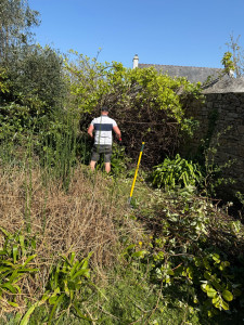 Photo de galerie - Défrichage 1/3