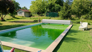 Photo de galerie - Eau vert