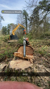 Photo de galerie - Abattage 