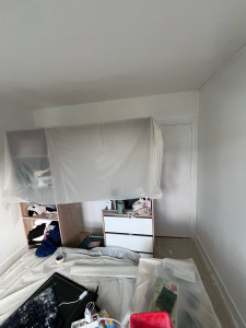 Photo de galerie - Coup de propre en blanc mur et plafond 