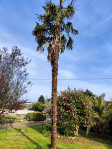 Photo de galerie - Paysagiste - Aménagement du jardin