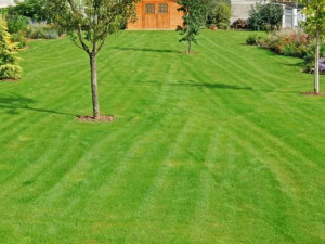 Photo de galerie - Paysagiste - Aménagement du jardin