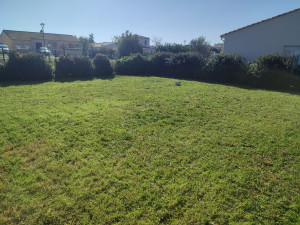 Photo de galerie - Tonte de pelouse 