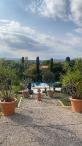 Photo de galerie - Taille de haies et d'arbustes