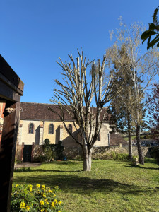 Photo de galerie - Jardinier