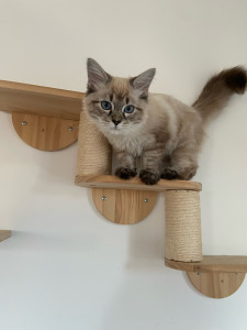 Photo de galerie - La jeune Kaira