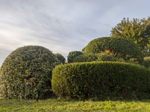 Photo de galerie - Se faire plaisir..