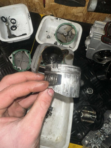 Photo de galerie - …