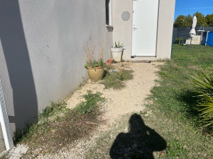 Photo de galerie - Avant désherbage manuel