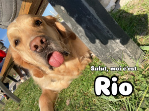 Photo de galerie - Rio au parc