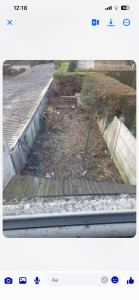 Photo de galerie - Arbre coupé et cour nettoyer 