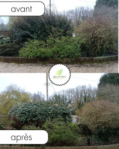 Photo de galerie - Avant/après taille de buisson et remise au propre
