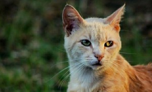 Photo de galerie - Photographe