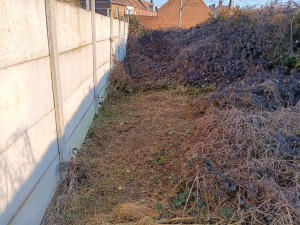 Photo de galerie - Tonte de pelouse - Débroussaillage