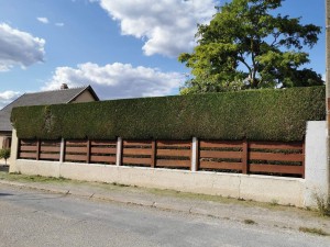 Photo de galerie - Voici une photo de réalisation proposée pour un Voisin