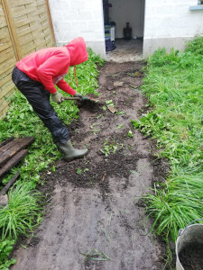 Photo de galerie - Jardinage 