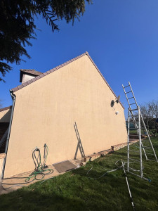 Photo de galerie - Résultats du traitement pas pulvérisation