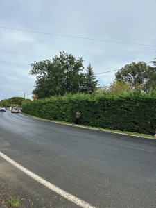 Photo de galerie - Comme vous pouvez le constater, nous sommes professionnels et compétent