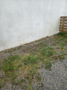 Photo de galerie - Tonte de pelouse - Débroussaillage
