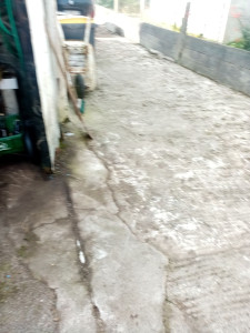 Photo de galerie - Tonte de pelouse - Débroussaillage