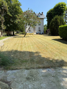 Photo de galerie - Entretiens réguliers et tontes de la pelouse 