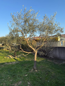 Photo de galerie - Après 