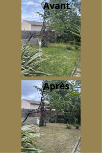 Photo de galerie - Débroussaillage 