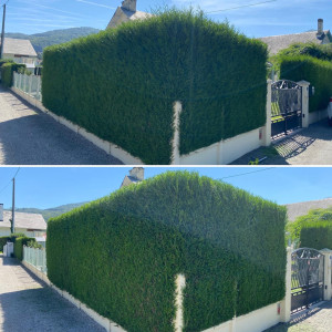 Photo de galerie - Taille de haies et d'arbustes