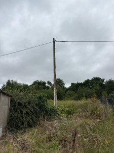 Photo de galerie - Taille de haies et d'arbustes