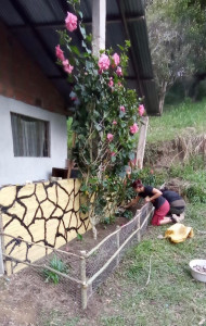 Photo de galerie - Paysagiste 