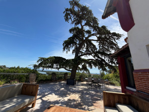 Photo de galerie - Taille 