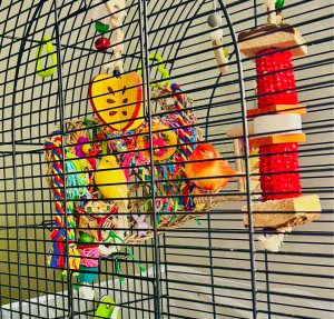 Photo de galerie - Garde animaux