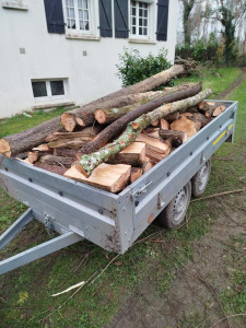 Photo de galerie - Paysagiste - Aménagement du jardin