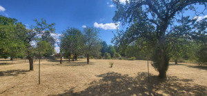 Photo de galerie - Tonte pelouse 