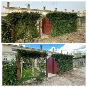 Photo de galerie - Avant après 