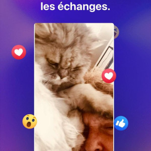 Photo de galerie - Avec mon chat