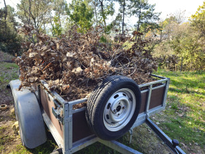 Photo de galerie - Débroussaillage complet avec évacuation des déchets verts.
Terrain nettoyé, chargement et transport en déchetterie avec remorque.
Intervention rapide, travail propre et soigné.
Équipé pour tout type de terrain (herbe haute, ronces, zones difficiles).