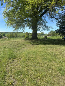Photo de galerie - Rafraîchissement d'un terrain 