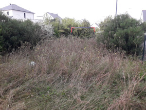 Photo de galerie - Reprise en main de terrain friche...avant..