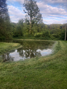 Photo de galerie - Débroussaillage autour d' une fosse