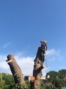 Photo de galerie - Entreprise basée à Lorgues, déplacement dans toute la région.