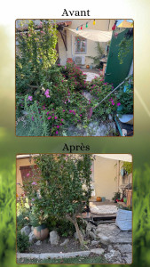 Photo de galerie - Intervention pour un entretien de jardin avec débroussaillage, évacuation des déchets…