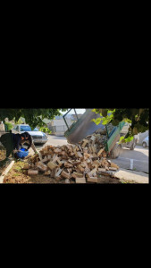 Photo de galerie - Livraison de bois
