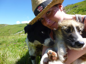 Photo de galerie - Pause canine en estive