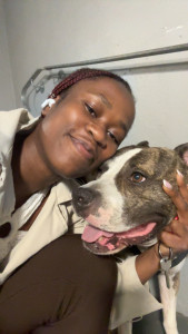 Photo de galerie - Garde chien
