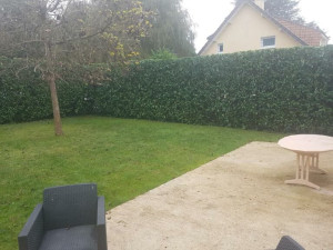 Photo de galerie - Haies  de 3m