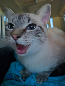 Photo de galerie - Appel du ventre de Yuma : il ne s'agit pas d'être en retard !!!