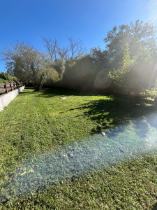 Photo de galerie - Tonte de pelouse - Débroussaillage