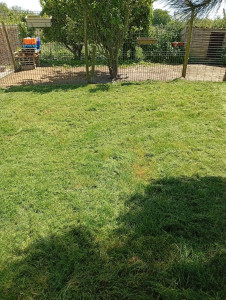 Photo de galerie - Tonte de pelouse - Débroussaillage